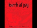 Birth Of Joy - Drink The Cup 