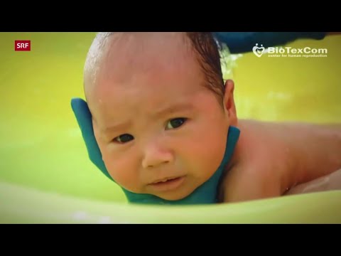 Ukraine: Das Geschäft mit der Leihmutterschaft