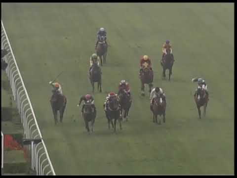 2019-03-03 Race 5(0173) - CHAIRMAN'S CHALLENGE CUP (GROUP 1)