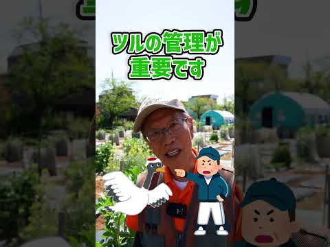 スノーベリー、スナップエンドウの低木 植物