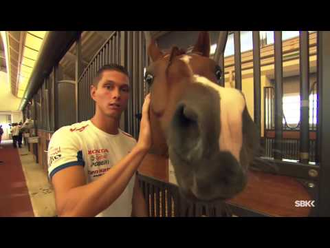 WorldSBK tries one horsepower