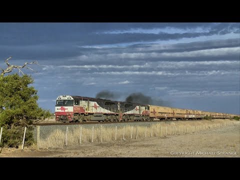 1PM9 SCT Boxcars & Intermodal Containers (17/4/2019) - PoathTV Australian Freight Trains & Railways