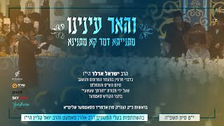 ישראל אדלר גראמען במעמד סיום הש"ס של חבורת "תורתך שעשעי" | Yisroel Adler - Satmar Siyum Hashas
