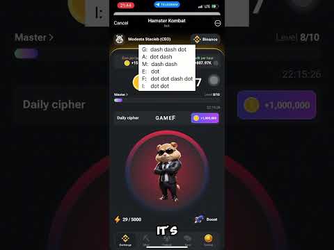 Secret behind Hamster Morse code 13th June 2024