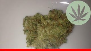 Jack Diesel - All About This Strain
