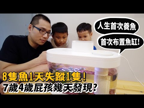 小朋友養魚