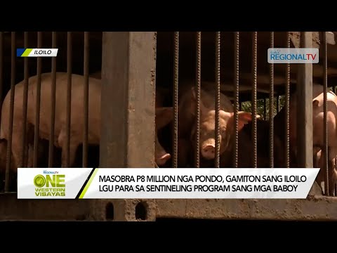 One Western Visayas: Masobra P8-M nga pondo, gamiton sa sentineling program sang mga baboy sa Iloilo