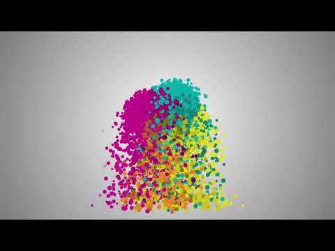 Programa Nacional Desporto para Todos | 2021