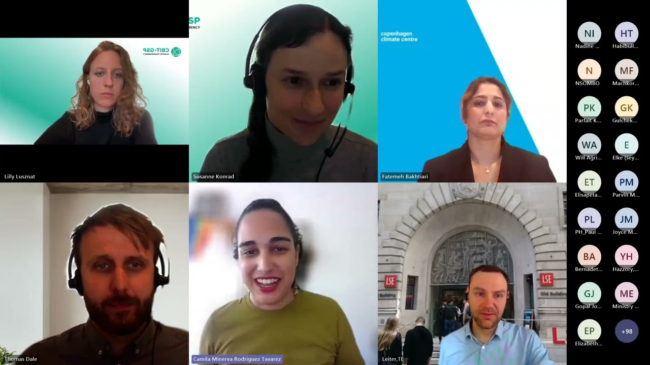 Preparing the Adaptation Chapter of Biennial Transparency Reports: A Template for Countries