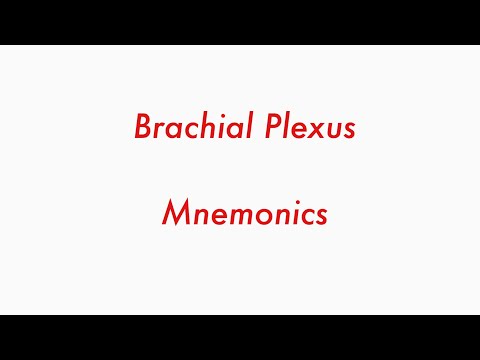 Brachial Plexus | Made Easy | Mnemonics