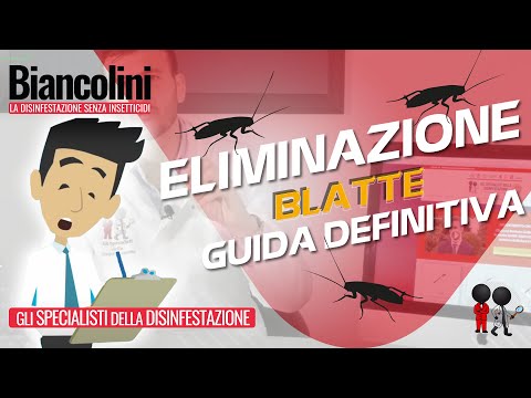 🔴​⚠️Come eliminare le blatte: la guida definitiva🔴​⚠️