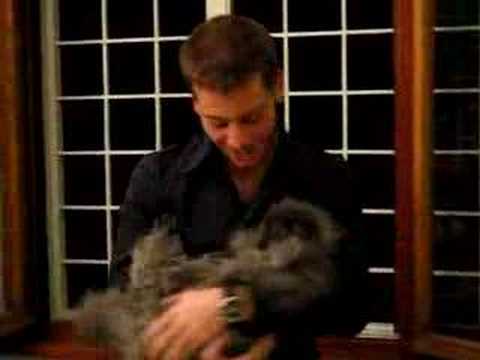 Salvatore l'orsetto lavatore