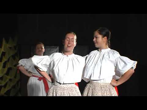 SLPT Ostravica - 50. výroční koncert  - Obrázky životem malované 1 - 2010