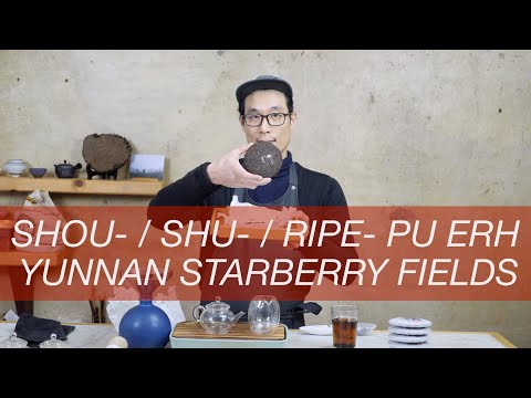 Tea Addicts 2021 - Ripe Pu'er Strawberry Fields Yunnan China Si Mao Pu'er Dark Tea Shou Pu