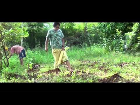 Urbanisation Trailer.mov