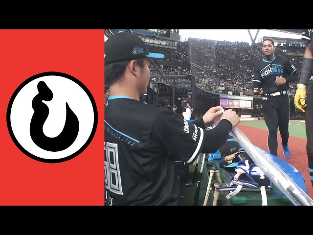 【し】新品開封のワクワク感…なんて言ってる場合ではない【まとめるほどではないまとめ】