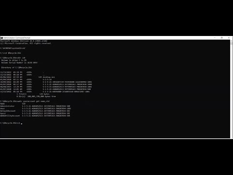 Windows Recycle Bin Forensics