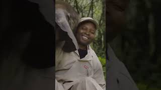 A young elephant hears his name and decides to interrupt an interview! 🤣🐘  -  🎥 blackbeanproductions