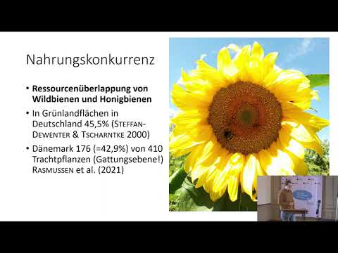 Dr. Robert Brodschneider Competition between bees and wild bees