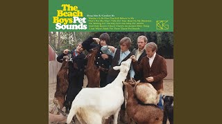 The Beach Boys - Wouldn't It Be Nice (Instrumental Mix &amp; Backing Vocals)