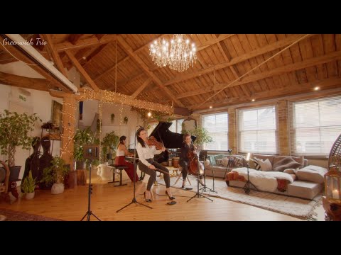 Smetana Piano Trio in G minor, op.15 - I. Moderato assai