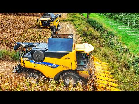 CORN HARVEST 2024 2X NEW HOLLAND CR COMBINE in the SAME FIELD