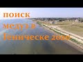 Медузы в Геническе летом 2020 ? Поиск с дрона ! Медузы в Геническе летом 2020 ? Поиск с дрона !