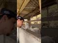 André Receiving A Visit Lol Humor Uai Animal Comedy