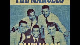 Blue Moon Showaddywaddy and The Marcels