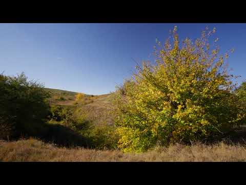 Tsibar Swamp & Island – Zlatiyata