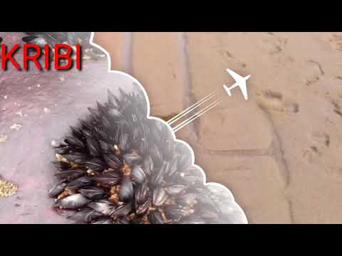 KRIBI AND BEAUTIFUL BEACHES