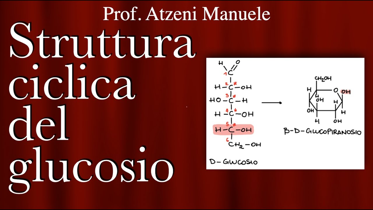 Struttura ciclica del glucosio - L5