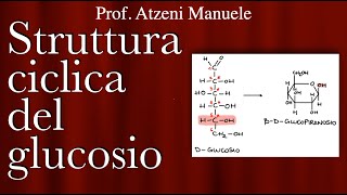 Struttura ciclica del glucosio - L5