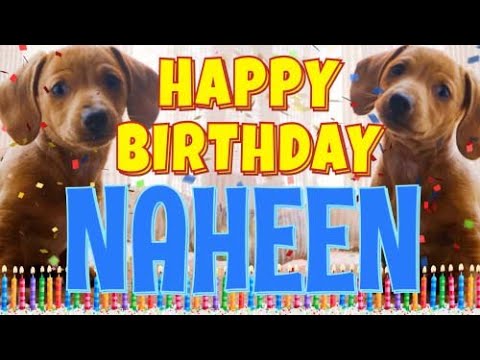 Happy Birthday Naheen! ( Funny Talking Dogs ) What Is Free On My Birthday