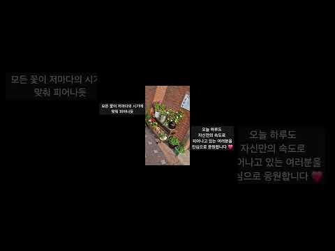 남동장애인종합복지관의 숨 쉬는 화단을 소개해요♥