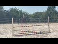 Nora de Molion Jument, 3 ans, bai , SF, toise1.65