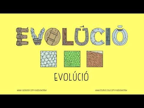 THESHOWCREW - EVOLÚCIÓ (Official Audio)