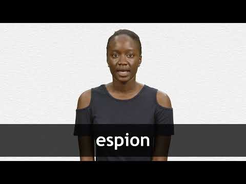 Translate ESPION from French into English