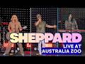 Sheppard LIVE at Australia Zoo