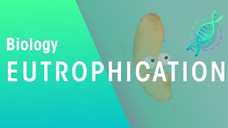 What Is Eutrophication  Agriculture  Biology  Fuse
