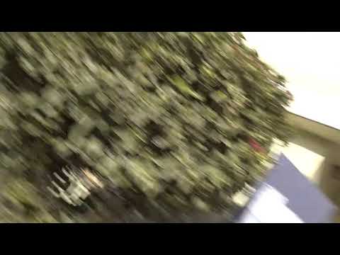 Centro Naval VS Luján Rugby Club EN VIVO Fecha 17 (1C URBA 2019)