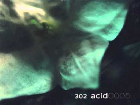 302 Acid - Fluffer