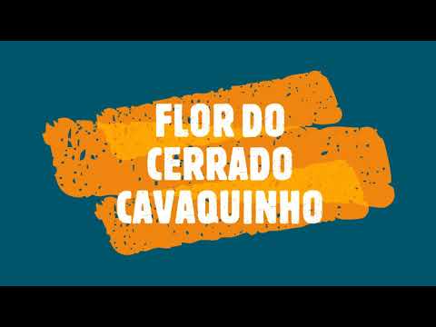 Flor Do Cerrado - Nino Aras