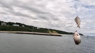 One Of The Best Fishing Spots For Porgies! - #fishingvideo #fishing #fish