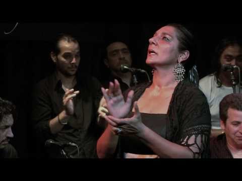 CASA PATAS, FLAMENCO EN VIVO #16 - PELLIZCOS FLAMENCOS: REMEDIOS AMAYA, CANTAORA