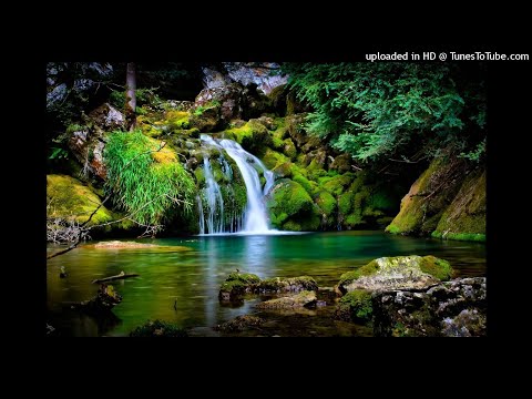 ساعة كاملة | أصوات الطبيعة | الماء و الطيور | بدون موسيقى | إسترخاء