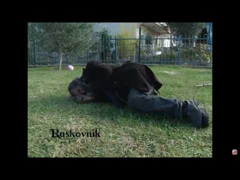 Uroš Tošković (SIGMA MALE)