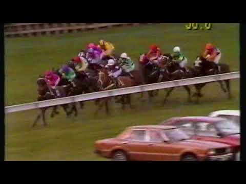 1991 Moir Stakes - With Me