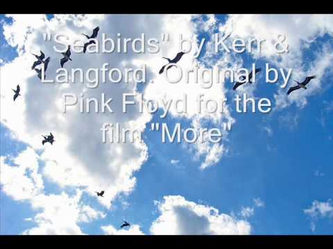Seabirds - Pink Floyd