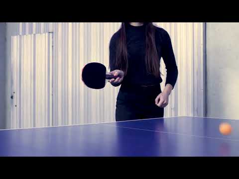 SET PING PONG SENSEI 2 PAL+3 PELO+RED